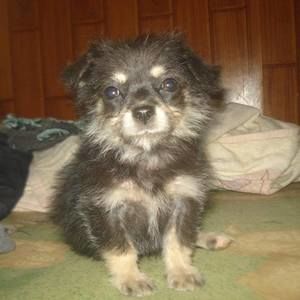 Meet your Posher, Richard